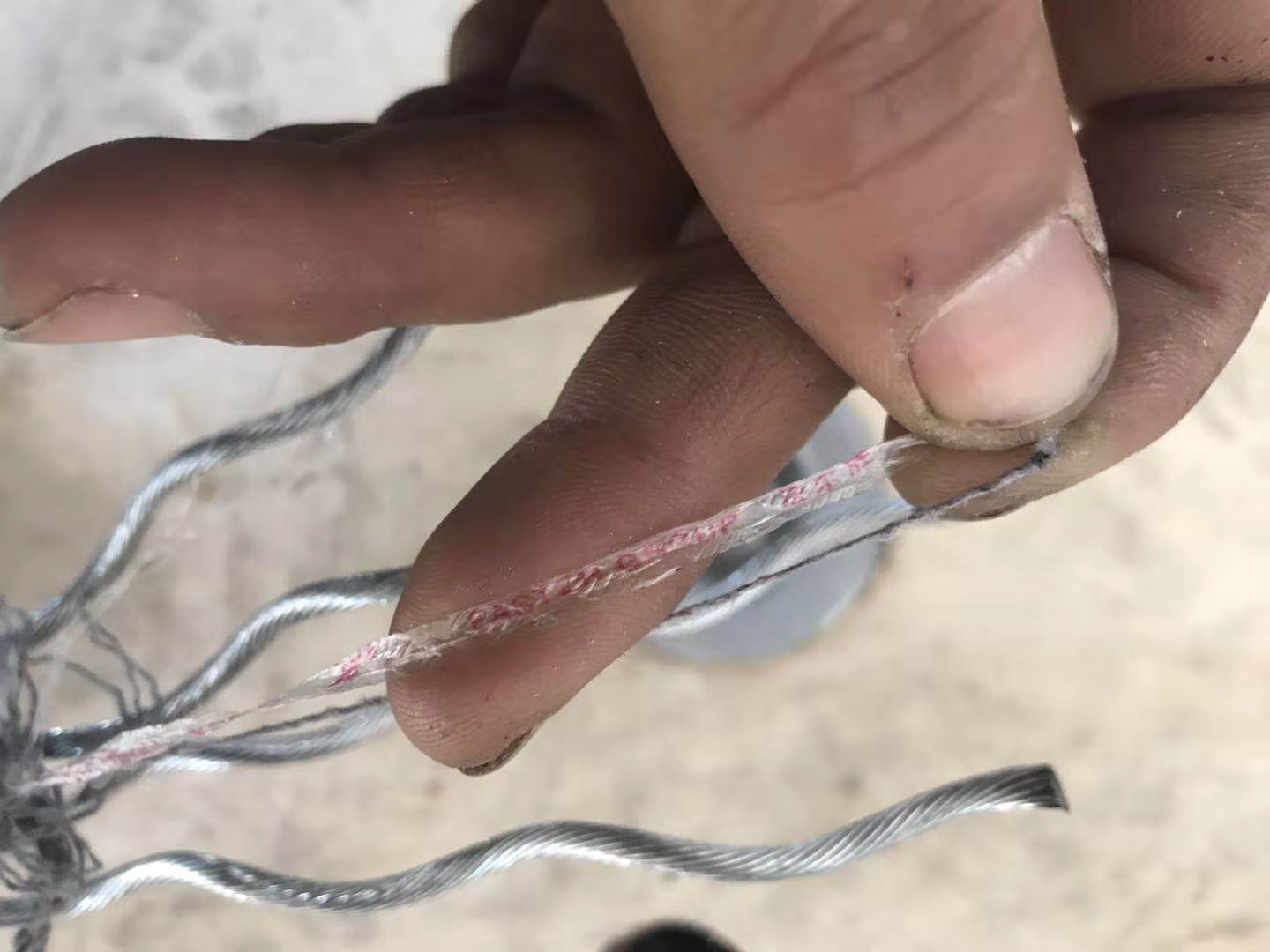 浪浪视频APP成年人下载